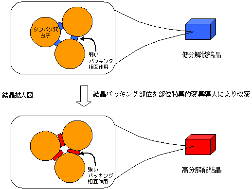 図1　タンパク質結晶の品質改善の概念