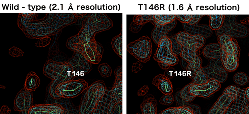 図4　変異導入によるタンパク質結晶の改善
