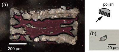 図3　得られたアルミニウム水素化物の顕微鏡写真