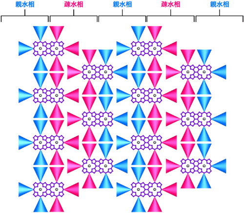 図2　両親媒性分子の2次元分子配列構造（紙面垂直方向にできているカラムの断面）の模式図