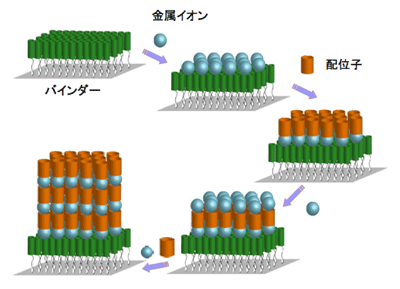 図１．結晶性ルベアン酸銅の界面ボトムアップ合成イメージ図