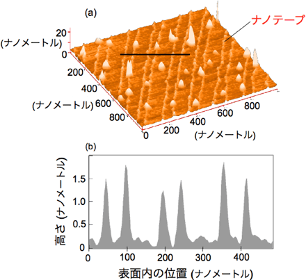 図２．出発の酸化ニッケル薄膜の厚さが70ナノメートルの場合の原子間力顕微鏡の立体的な図(a)、その図の実線部分の断面図(b)