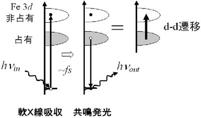 図2.　軟Ｘ線を用いた共鳴光散乱過程を利用し、タンパク質内部に埋もれた鉄の3<em>d</em>電子状態を抽出することができる。