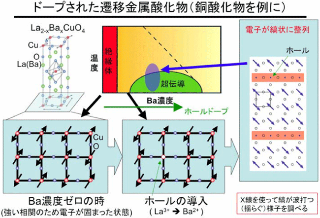 図１：銅酸化物を例としたドープされた遷移金属酸化物。