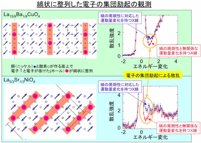 図3: 縞状に整列した電子の周期構造に対応する運動量変化(Q s)で測定した共鳴非弾性X線散乱スペクトル(青のデータ)と電子の周期構造と無関係な運動量変化で測定した共鳴非弾性X線散乱スペクトル(赤のデータ)の比較。