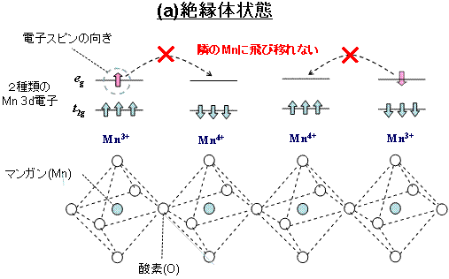 図２：巨大磁気抵抗効果に関連した金属‐絶縁体転移に関する従来の標準モデル: 