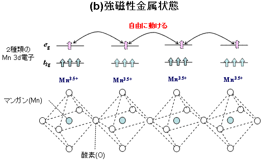 図２：巨大磁気抵抗効果に関連した金属‐絶縁体転移に関する従来の標準モデル: 