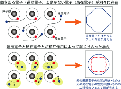 図１：遍歴電子と局在電子の関係の違いによりフェルミ面形状が変化することのイメージ：