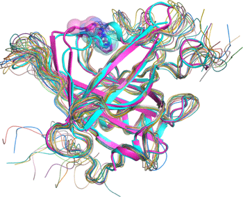 図3　リポカリン型PGDSの構造の重ね合わせ