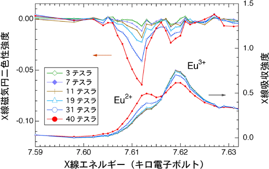 図３： ユーロピウム元素（Eu）のX線磁気円二色性（XMCD）スペクトル［上］とX線吸収スペクトル［下］の磁場依存性。2つの異なる電子状態Eu2+とEu3+が分離して観測されている。