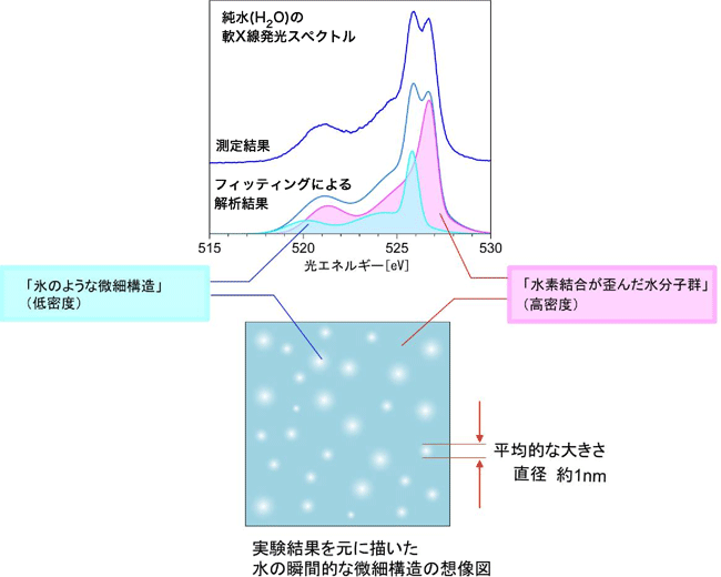 図4　これまでの軟X線発光、X線ラマン散乱、X線小角散乱の実験データーを元に作成した想像図