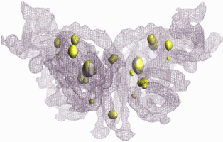 図2  ヒスチジンキナーゼとレスポンスレギュレーターの複合体構造
