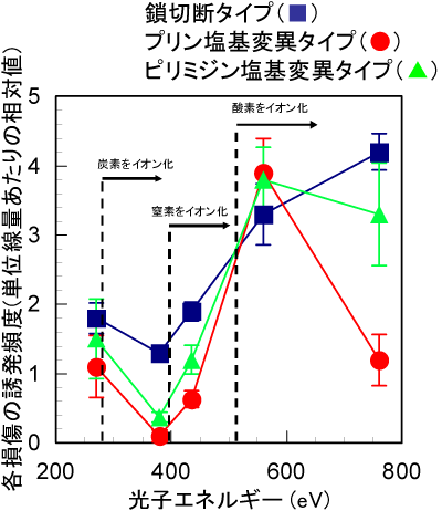 図5　各損傷の誘発頻度の光エネルギー依存性。