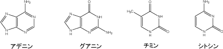 核酸塩基