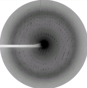 図３．SPring-8のＸ線を使って撮影したX線回折像