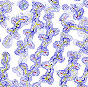 図4：X線CMOS検出器による連続回転法を用いて構造決定したタンパク質立体構造