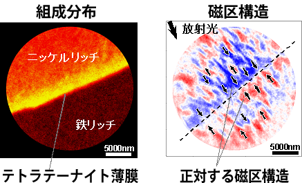 図3　界面近傍の磁区構造と組成分布