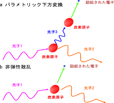図１　観測したＸ線非線形光学現象（パラメトリック下方変換）と非弾性散乱の模式図