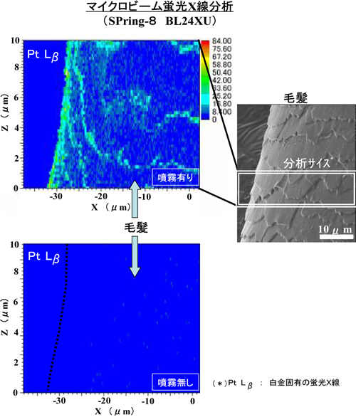 マイクロビーム蛍光X線分析