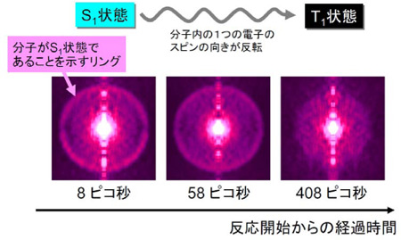 図2 反応途上の分子の電子状態をとらえた光電子イメージ