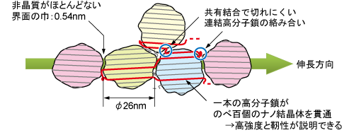 図10 NOCの「鎧モデル」模式図