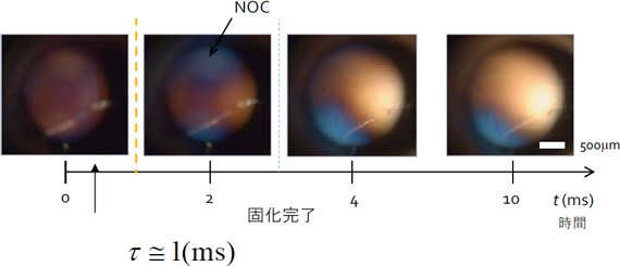 図5 NOCの結晶化