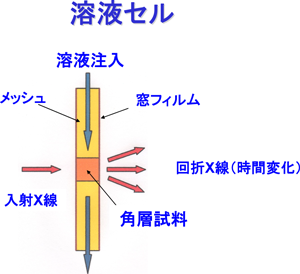 図3．発明した溶液セル。