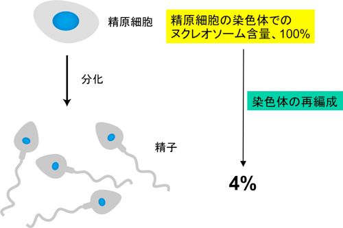 図1