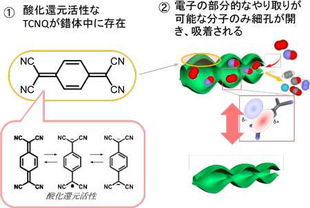 図2．TCNQ分子の構造（左）とTCNQナノ細孔物質へのガス吸着メカニズム（右）