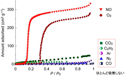 図3．酸素(O2)と一酸化窒素(NO)のみが吸着される様子 