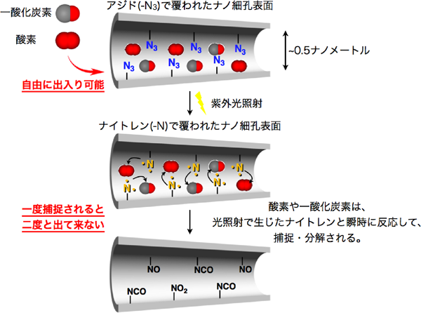 図3　光活性化によってナノ細孔に吸着したガス分子が捕捉・分解される様子