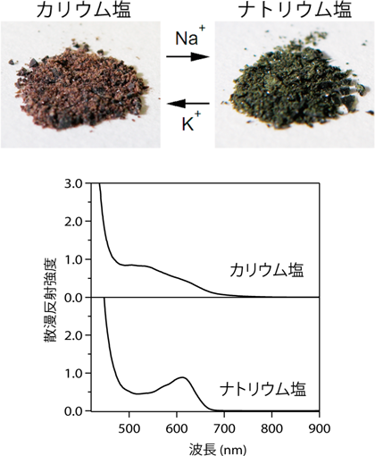 図１　カリウム塩試料とナトリム塩試料の写真（上）と散漫反射スペクトル（下）。