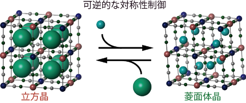  図２　ホストであるシアノ錯体格子とゲストであるアルカリ金属イオン。緑色の大きな球がカリウムイオン、小さな球がナトリウムイオン。カリウム塩試料は立方結晶、ナトリウム試料は菱面晶である。