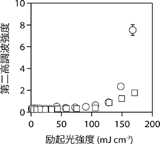 図５　カリウム塩試料（□）とナトリム塩試料（○）の第二高調波発生効率の励起光強度依存性。