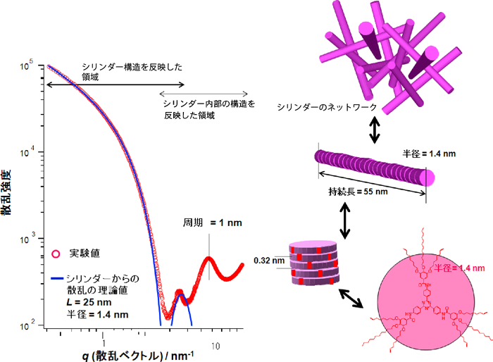 図1　測定図とゲル化の分子構造モデル