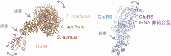 図2　SCSS試験加速器のトンネル内部