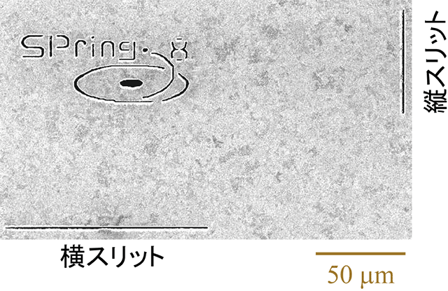 図1　試料として用いられたパターン