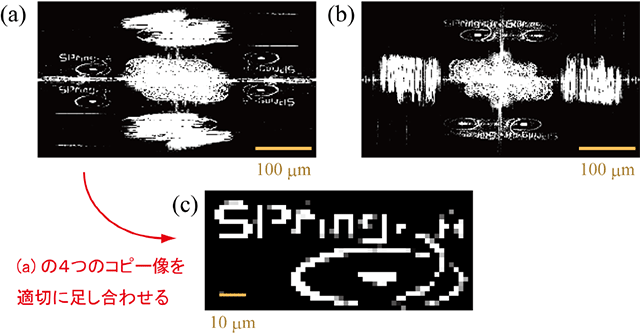 図3　ホログラムから再構成された試料のフェムト秒スナップショット画像