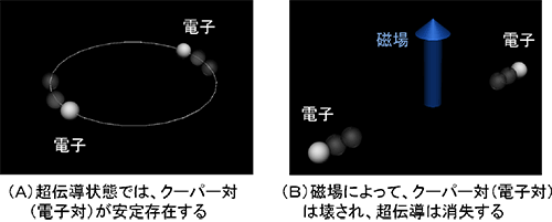 図2　フィルムの光による変形（上）とアゾベンゼンの光異性化に伴う構造変化（下）