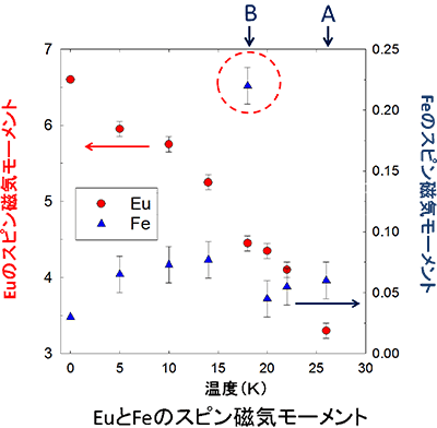 図4　ポリマーブラシが形成する階層構造の模式図