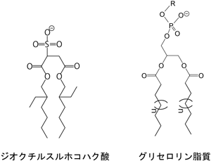 図2　ジオクチルスルホコハク酸と生体膜の主要な構成成分であるグリセロリン脂質の化学構造