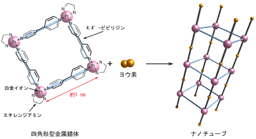 図1　ボトムアップ法を用いたナノチューブの作製。