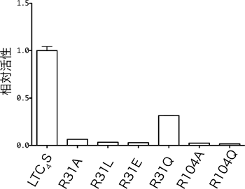 図3　LTC4Sと変異体LTC4Sの酵素活性の比較
