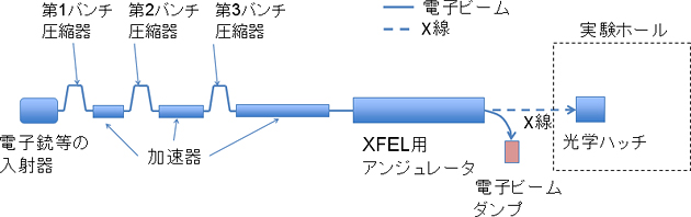 図1　X線自由電子レーザーシステムの模式図