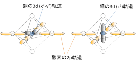 図4　電子占有数密度