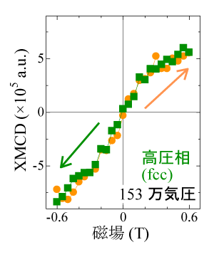 図４：高圧相におけるXMCDの磁場変化。