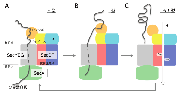 図４：PMFを利用したSecDFの機能モデル