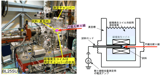 図１：パルス強磁場発生装置を備えた軟Ｘ線MCD測定装置と測定チャンバーの断面模式図