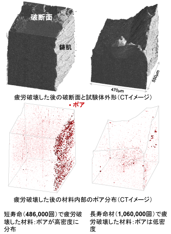 図１：疲労強度の違いと表面直下のポアの密度の相関。SPring-8のシンクロトロン放射光X線CTスキャンによる。