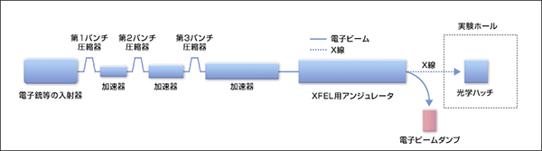 図1　X線自由電子レーザーシステムの模式図